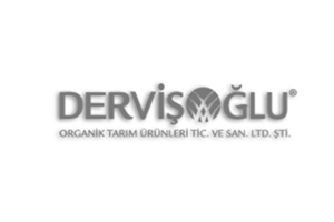 Tech Dijital